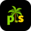 Palm Slots Casino